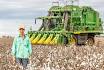 CP 770 Picker